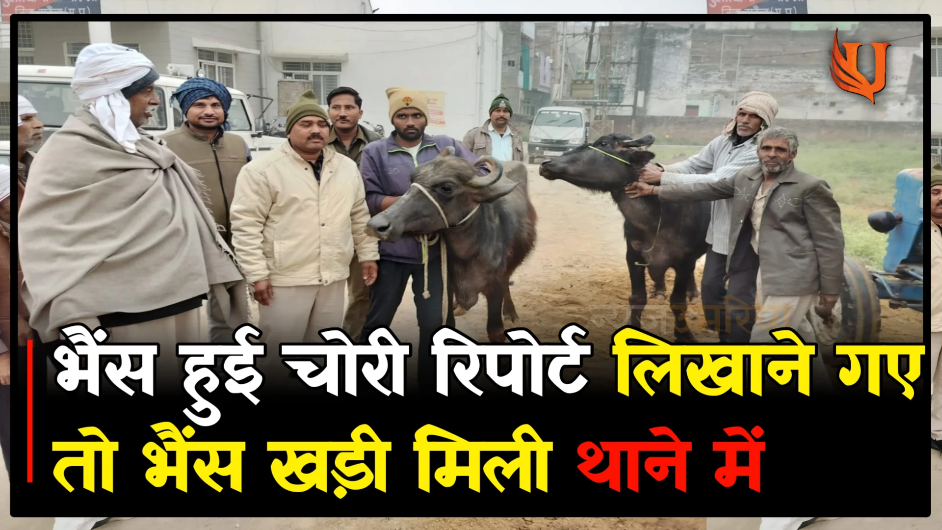 भैंस हुई चोरी रिपोर्ट लिखाने गए तो भैंस खड़ी मिली थाने में