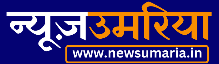 किसानों की फसल को हाथियों द्वारा नुकसान पहुंचाने पर तहसीलदार ने लिया खेतो का जायजा