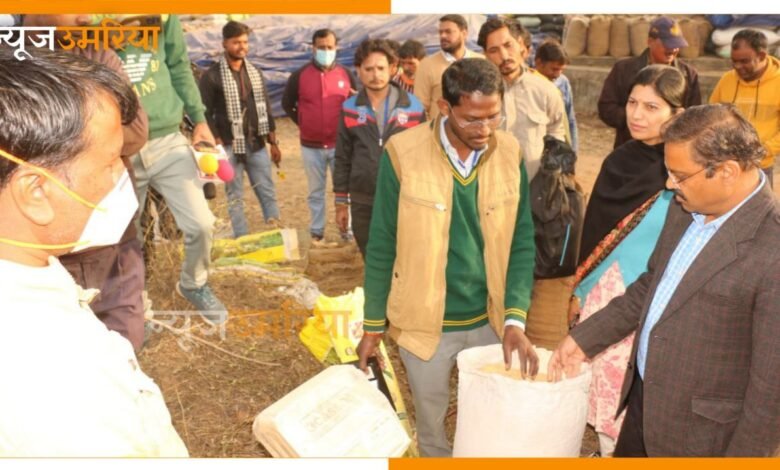 औचक निरिक्षण में बेसहनी कैंप पहुचें कलेक्टर दिए धान की क्वालिटी चेक करने के निर्देश