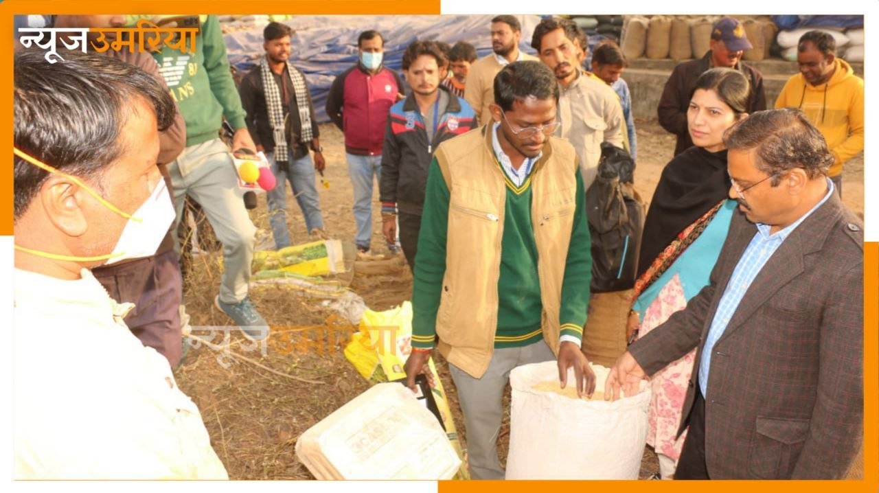 औचक निरिक्षण में बेसहनी  कैंप पहुचें कलेक्टर दिए धान की क्वालिटी चेक करने के निर्देश
