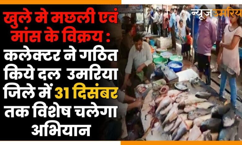 खुले मे मछली एवं मांस के विक्रय : कलेक्टर ने गठित किये दल उमरिया जिले में 31 दिसंबर तक विशेष चलेगा अभियान