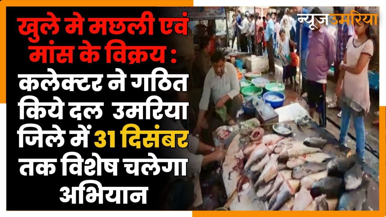 खुले मे मछली एवं मांस के विक्रय : कलेक्‍टर ने गठित किये दल  उमरिया जिले में 31 दिसंबर तक विशेष चलेगा अभियान