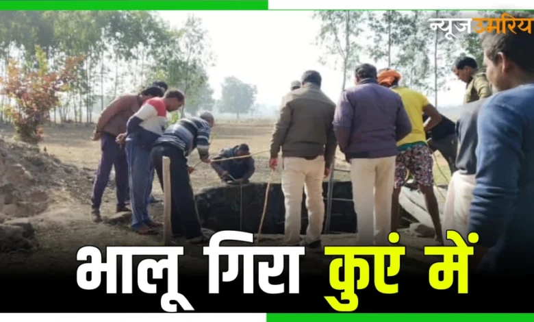 Wild life : जंगल से भटक कर भालू गिरा किसान के घर मे बने कुएं