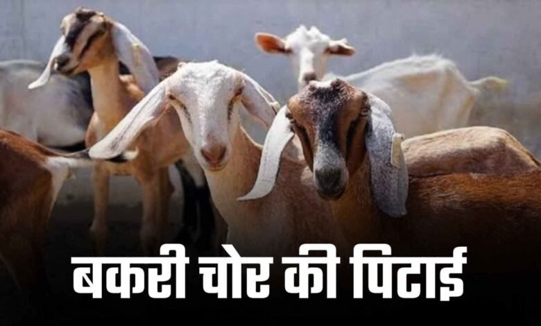 बकरी चोर की हुई जमकर पिटाई ग्रामीणों ने काट दिए बाल और मूछ कर दिया पुलिस के हवाले