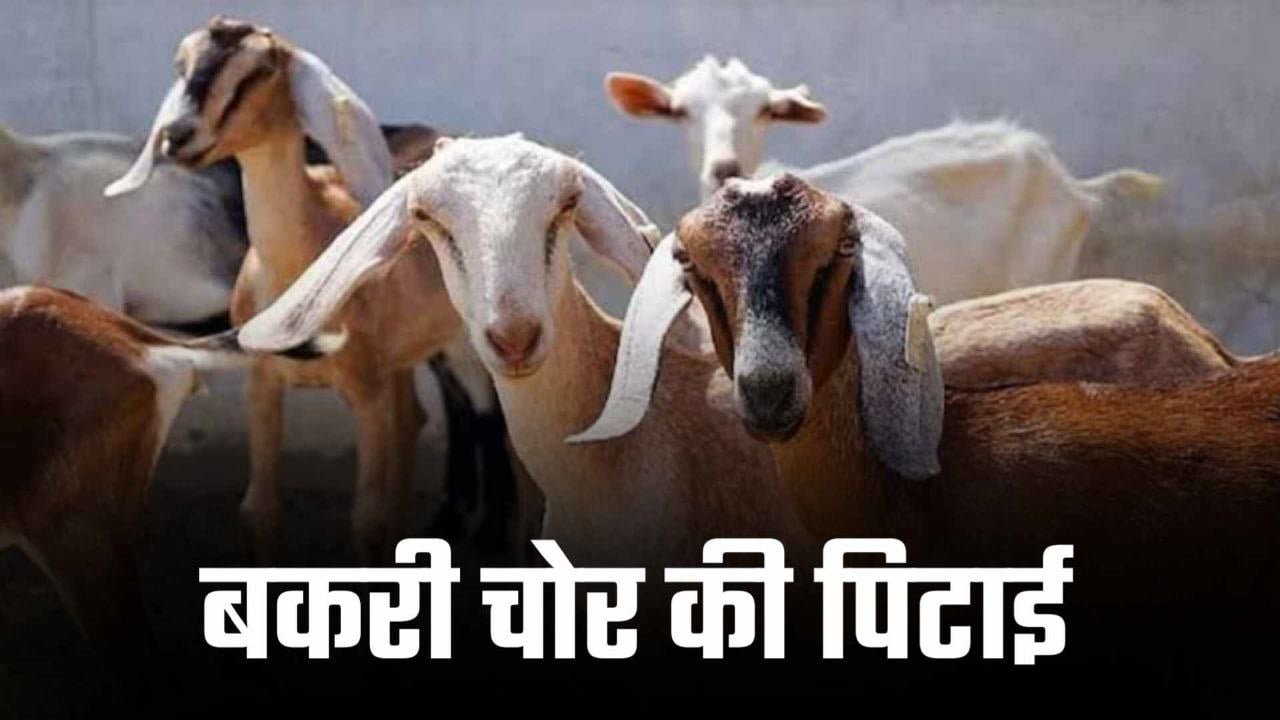 बकरी चोर की हुई जमकर पिटाई ग्रामीणों ने काट दिए बाल और मूछ कर दिया पुलिस के हवाले 