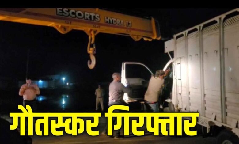 MP Crime : 14 गायों से भरा मिनी ट्रक मिला 3 गौतस्कर गिरफ्तार