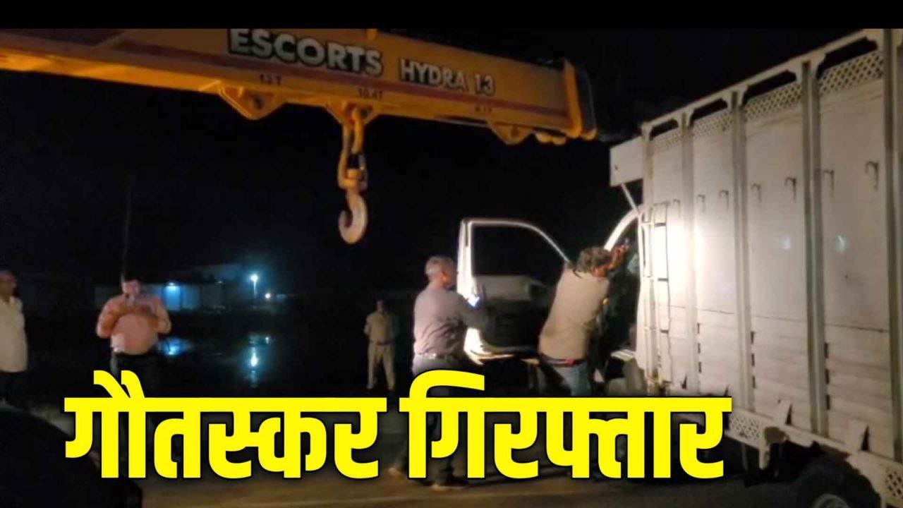 MP Crime :  14 गायों से भरा मिनी ट्रक मिला 3 गौतस्कर गिरफ्तार 