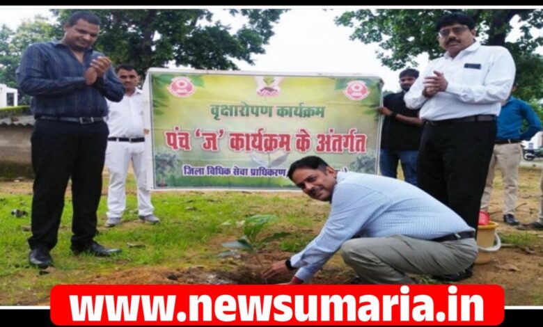 (उमरिया) जजेस कॉलोनी में वृक्षारोपण कार्यक्रम एवं विधिक साक्षरता शिविर संपन्न