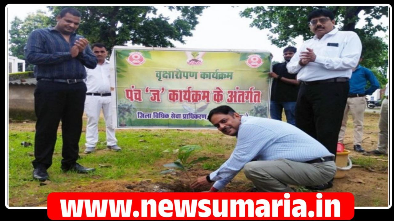 (उमरिया) जजेस कॉलोनी में वृक्षारोपण कार्यक्रम एवं विधिक साक्षरता शिविर संपन्न