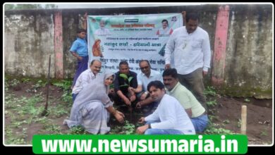 (उमरिया) ग्राम पिनौरा  में नवांकुर सखी हरियाली यात्रा संपन्न...