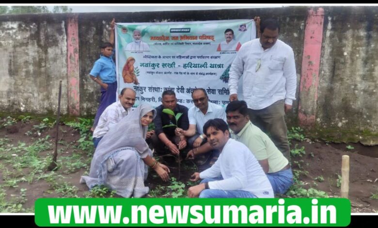 (उमरिया) ग्राम पिनौरा में नवांकुर सखी हरियाली यात्रा संपन्न...